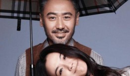 娱乐圈大叔爆料小说,娱乐圈那些不为人知的秘密