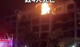 郑州爆料最新,揭秘城市热点事件背后的真相